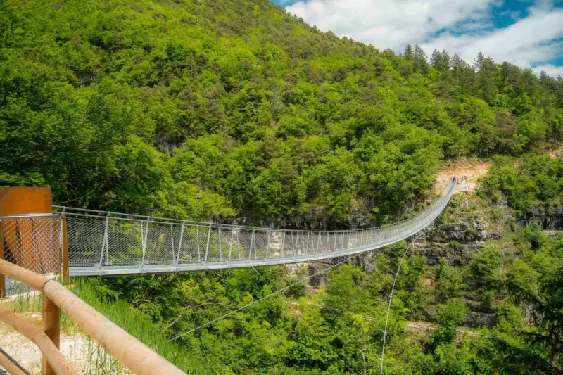 Il ponte tibetano di Mezzolombardo si estende su un profondo canyon, circondato da una lussureggiante foresta verde.