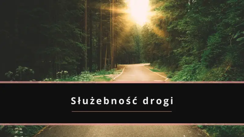 Droga przez las, gdzie słońce przebija się przez drzewa. Tekst "Służebność drogi" sugeruje potencjalne problemy z dostępem.