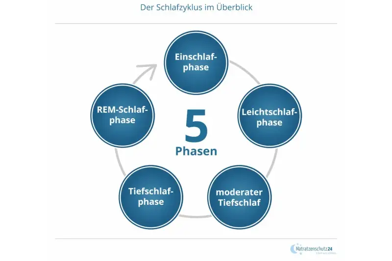 Der Schlafzyklus besteht aus 5 Phasen: Einschlaf-, Leichtschlaf-, Tiefschlaf-, moderater Tiefschlaf- und REM-Schlaf-Phase.