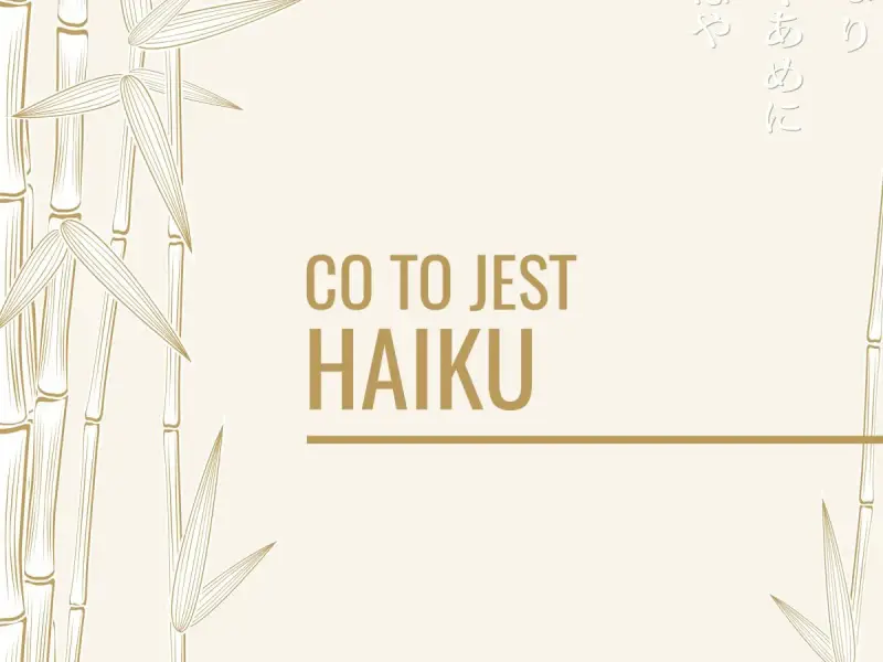 Ilustracja z bambusami i napisem "CO TO JEST HAIKU" w kolorze złotym.