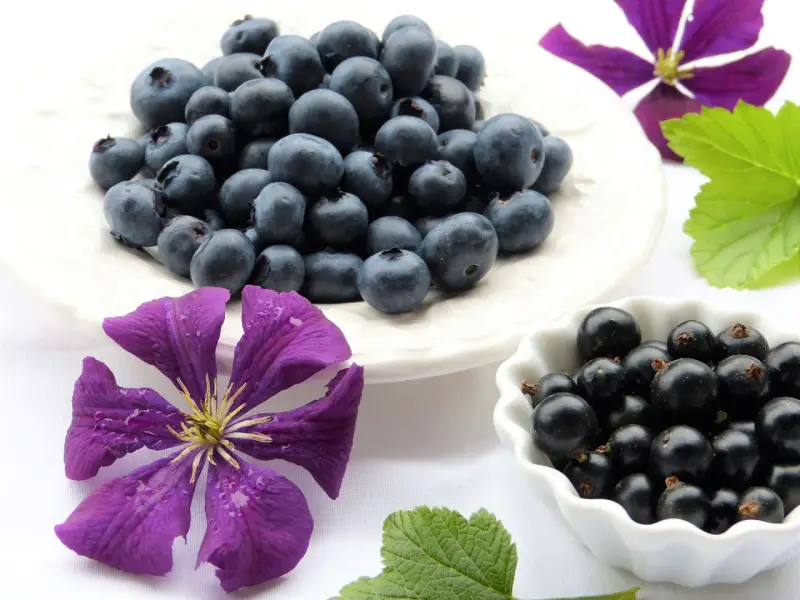 Mirtilli e ribes nero, un concentrato di natura. Un aiuto per il tuo benessere, un vero antistaminico naturale.