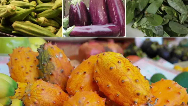Kiwano, bakłażany, okra i inne egzotyczne warzywa tworzą barwną mozaikę smaków.