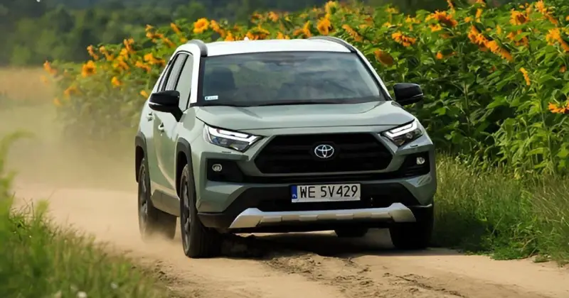 Zielona Toyota RAV4 jedzie po piaszczystej drodze, otoczona słonecznikami. To jeden z najmniej awaryjnych aut, gotowy na każdą przygodę.