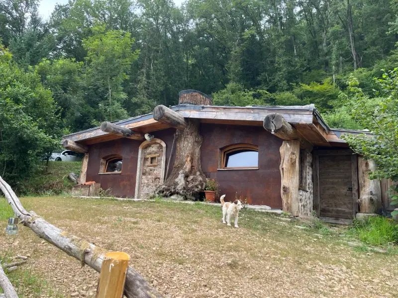 Une charmante cabane semi enterrée, intégrée à la nature, avec un chien curieux devant.
