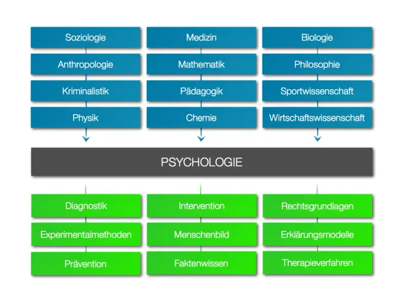 Diagramm zeigt, wie verschiedene Disziplinen wie Soziologie, Medizin und Biologie zur Psychologie beitragen. Darunter sind Anwendungsbereiche wie Diagnostik und Intervention aufgeführt.