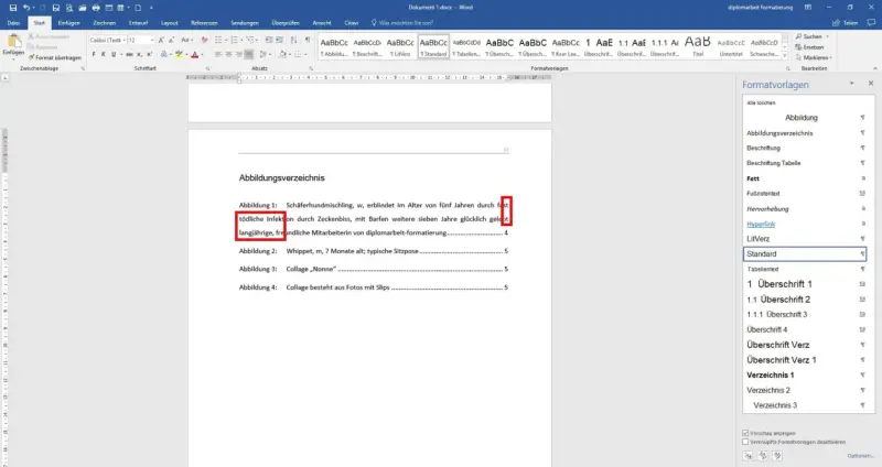Das Abbildungsverzeichnis in Word zeigt eine Liste von Abbildungen mit Titeln und Seitenzahlen, die für die diplomarbeit formatierung erstellt wurde.