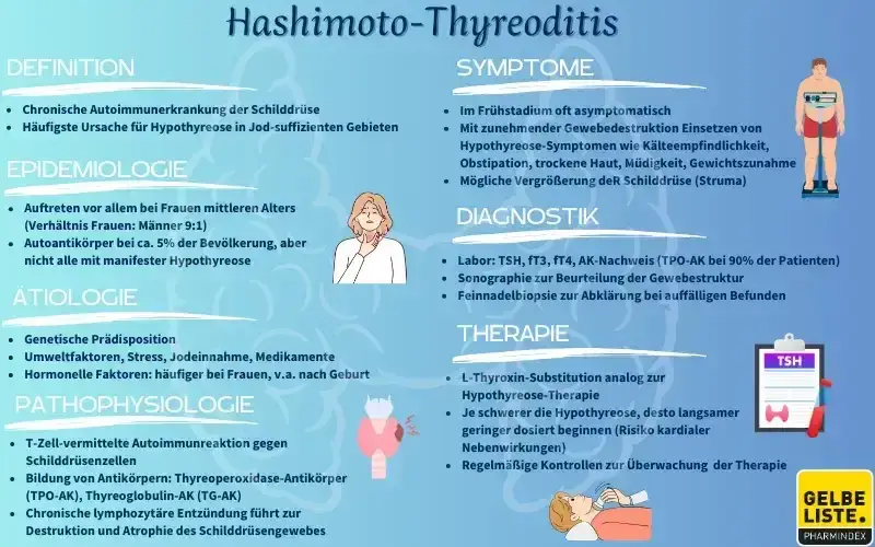 Hashimoto & Gehirn: Neurologische Symptome erkennen & behandeln