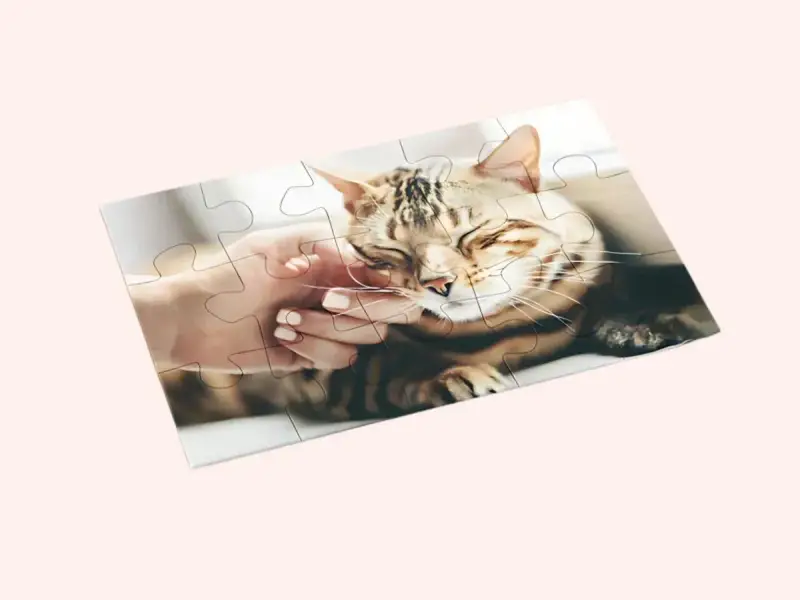Jak zrobić puzzle ze zdjęcia? Ułóż obrazek z kotem, który głaszcze dłoń.