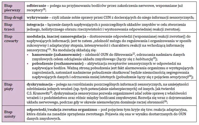 Testy integracyjne u dzieci: Przykłady i co mówią o rozwoju SI?