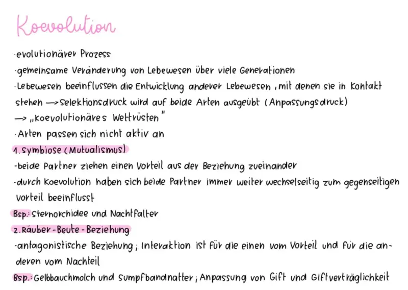 Koevolution: Gemeinsame Entwicklung von Lebewesen, die sich gegenseitig beeinflussen, wie bei der Sternorchidee und dem Nachtfalter.