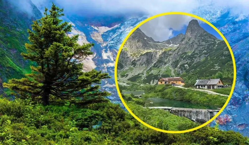 Malownicze jezioro w dolinie Rybiego Potoku, otoczone zielenią i górami, z chatkami turystycznymi.