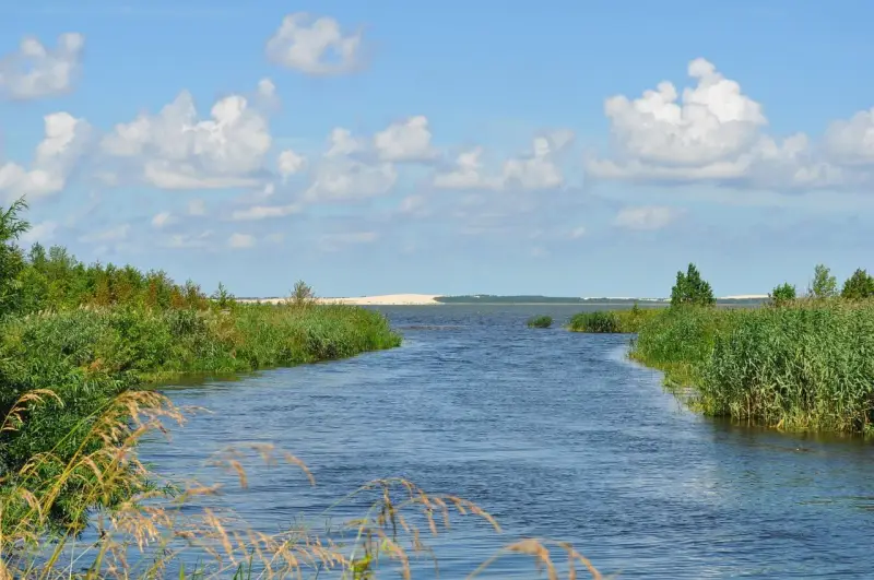 Spokojne jezioro na wybrzeżu słowińskim, otoczone zielenią i trzcinami, z piaszczystymi wydmami w oddali pod błękitnym niebem.