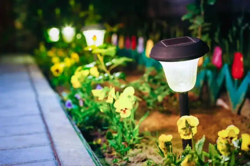 Giardino illuminato da lampade solari, un'idea per il tuo giardino fai da te a costo zero. Fiori gialli e viola illuminano il sentiero.