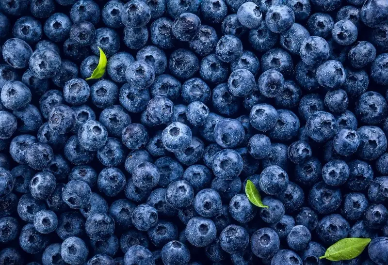 Mnóstwo soczystych borówek amerykańskich, idealnych na zdrową przekąskę. Niska zawartość kcal sprawia, że to świetny wybór.