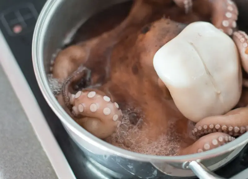 Un pulpo entero se cocina en una olla con agua hirviendo. Descubre cómo calentar el pulpo cocido para disfrutarlo.