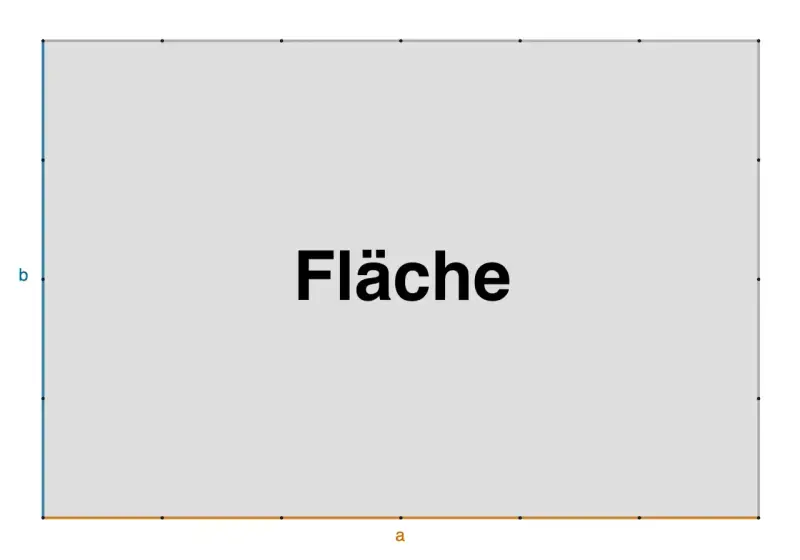 Ein Rechteck mit den Seitenlängen a und b. Die Fläche des Rechtecks wird berechnet.