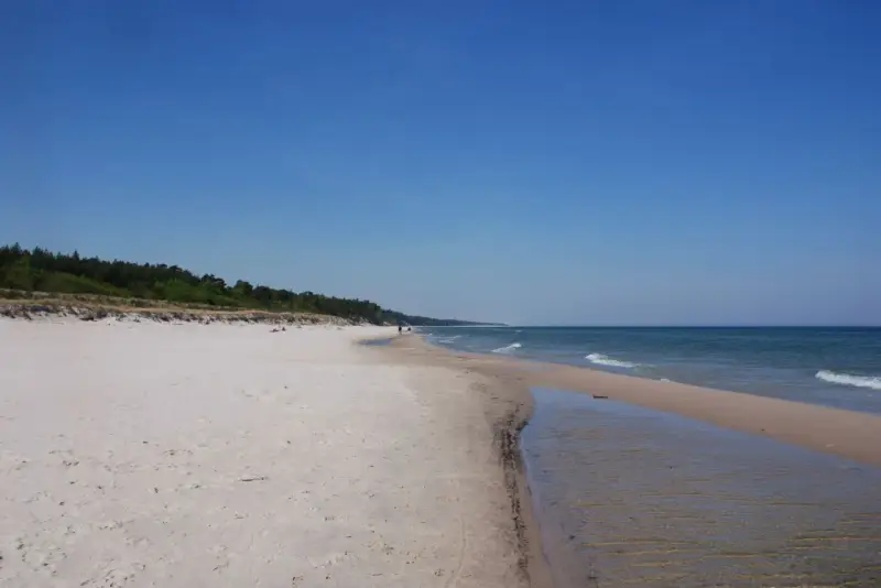 Piękna plaża w Karwieńskich Błotach. Jasny piasek, spokojne morze i las w tle. Idealne miejsce na spacer.