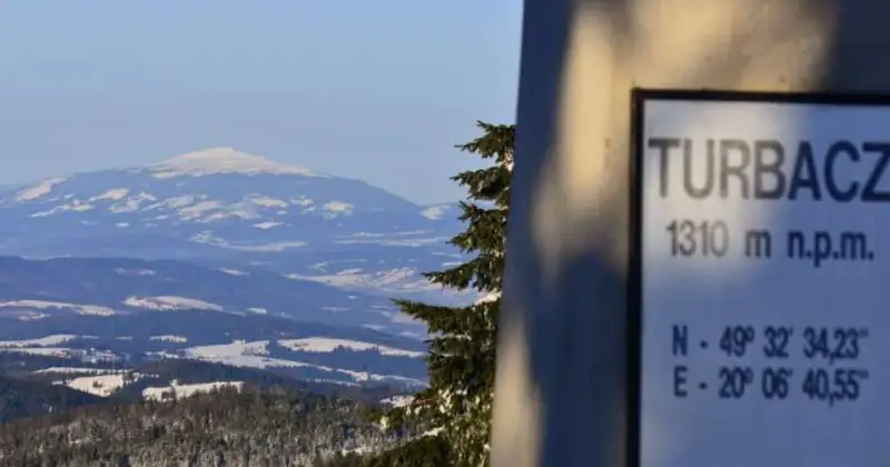 Zimowy krajobraz z Turbacza, szczytu o wysokości 1310 m n.p.m. Śnieg pokrywa okoliczne góry i lasy.