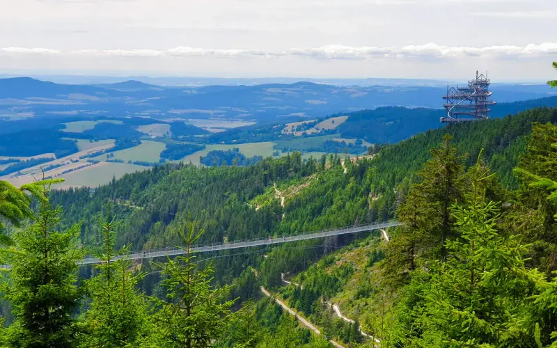 Widok na najdłuższy most wiszący Czech, Sky Walk i gęsty las na zboczu góry.