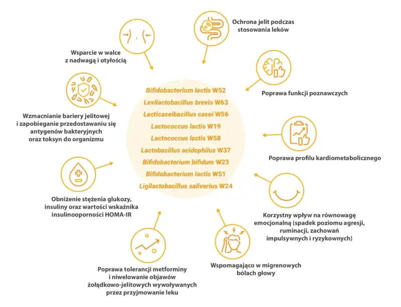 Diagram przedstawia korzyści z probiotyków, m.in. wsparcie w walce z nadwagą, poprawę funkcji poznawczych i tolerancji metforminy.