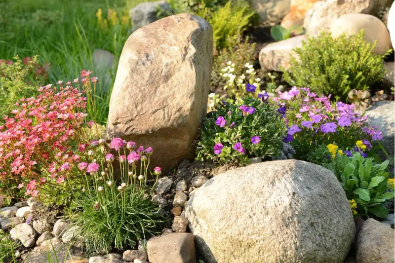 Natürliche Steine und bunte Blumen verschönern den Garten. Ein Steinbeet mit rosa und lila Blüten, ideal zum **Garten dekorieren mit Steinen**.