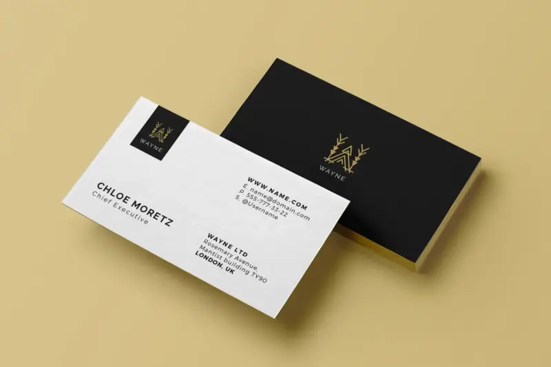 Elegancka wizytówka Chloe Moretz, Chief Executive w firmie WAYNE LTD. Zobacz, jak zrobić wizytówkę w tym stylu.