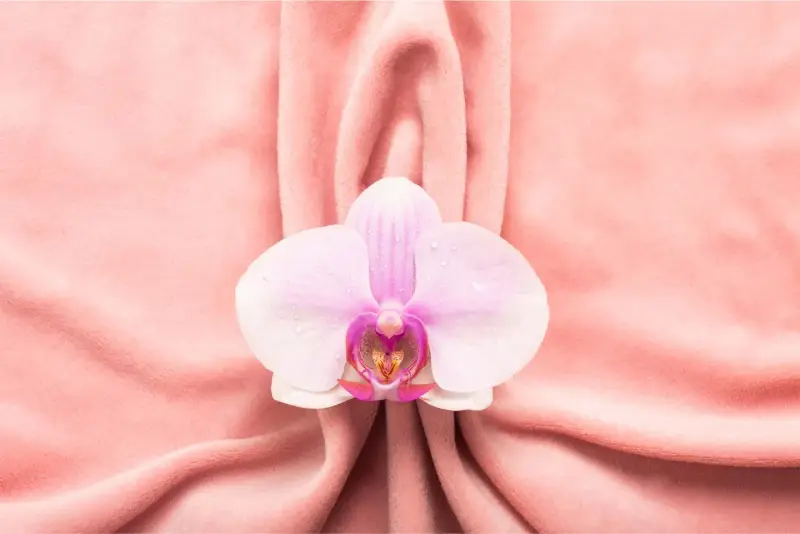Delikatna orchidea na różowym tle, symbolizująca piękno i kobiecość, nawiązuje do tematu wycinania warg sromowych.