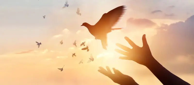 Hände öffnen sich zum Himmel, Tauben fliegen empor. Ein Symbol für Pfingsten und den Heiligen Geist.