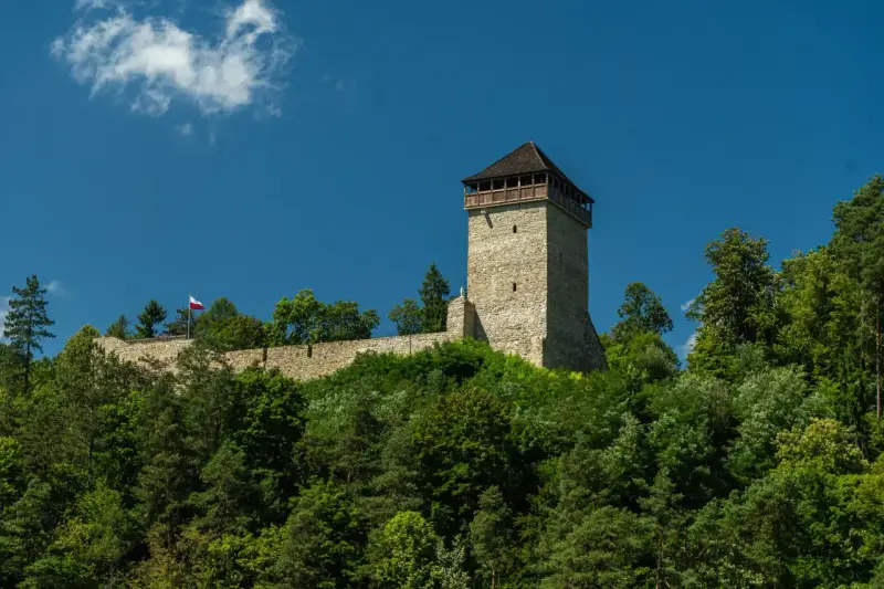 Kamienny zamek na wzgórzu, otoczony zielenią, z polską flagą powiewającą na wietrze. To malowniczy widok na Muszynę-Zdrój.