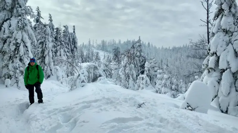 Chłopiec w zielonej kurtce przemierza zasypany śniegiem Beskid Mały. Drzewa pokryte grubą warstwą puchu tworzą zimowy krajobraz.