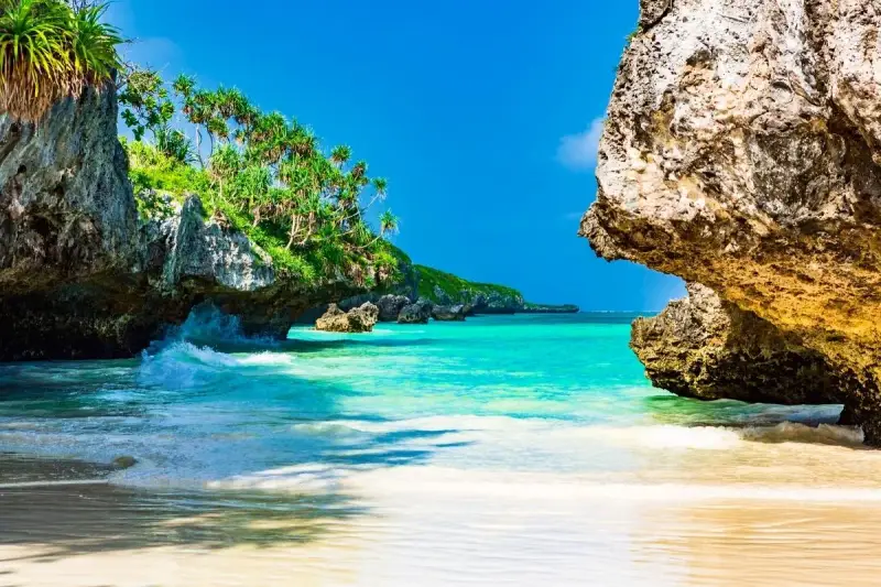 Rajska plaża z turkusową wodą i bujną zielenią. Idealne miejsce na wymarzone zanzibar wakacje.