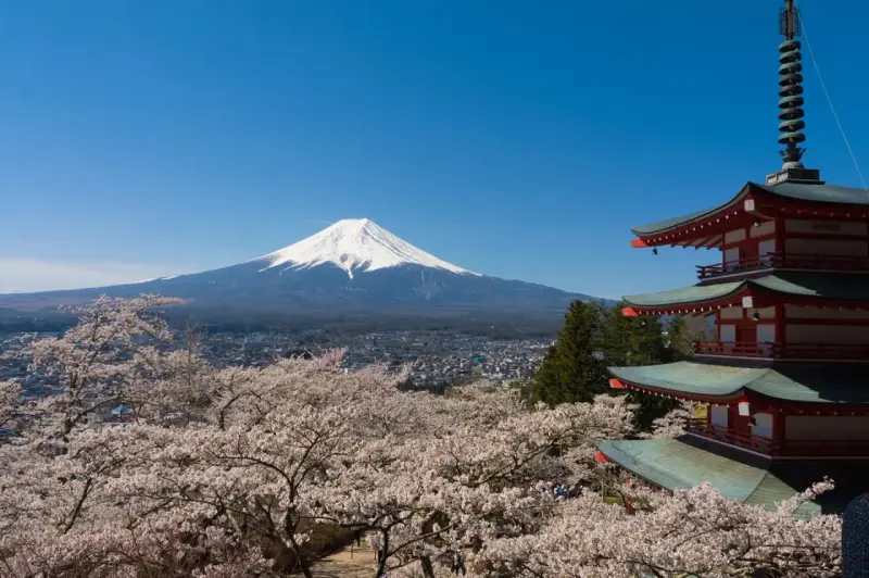 Widok na najwyższy szczyt Japonii, górę Fudżi, otoczoną kwitnącymi wiśniami i tradycyjną pagodą.