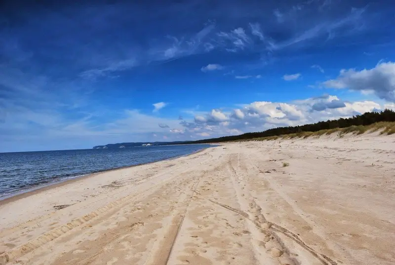 Piękna, piaszczysta mechelinki plaża z widokiem na morze i las.