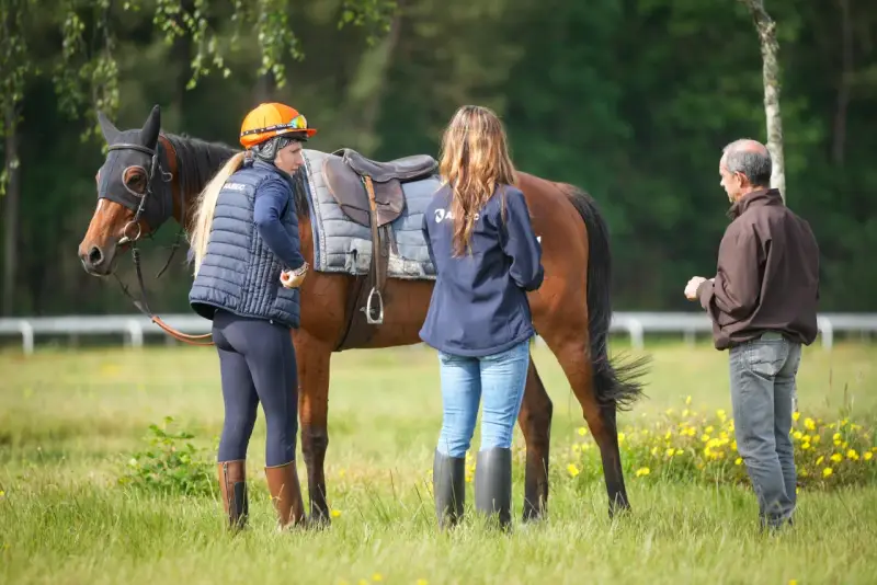 Une femme en tenue d'équitation discute avec un homme près d'un cheval sellé, lors d'une formation cheval pour adulte en extérieur.