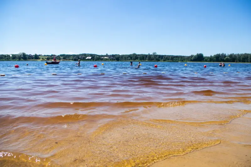 Słoneczny dzień nad zalewem. Ludzie kąpią się, pływają łódką, a czerwone i żółte boje wyznaczają bezpieczną strefę.