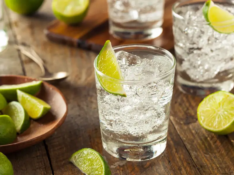 Erfrischender Gin Tonic mit Eis und Limette. Die fruchtige Säure der Limette passt perfekt zum Gin.
