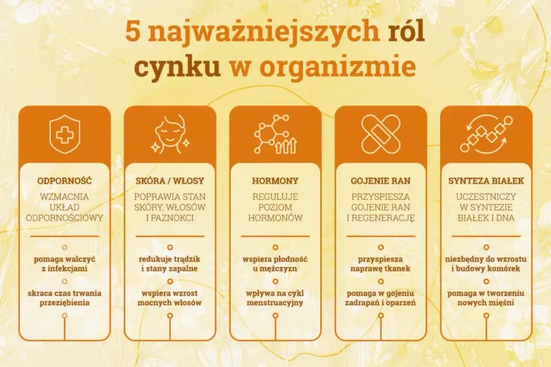 Grafika przedstawia 5 kluczowych ról cynku w organizmie: odporność, zdrowie skóry i włosów, regulację hormonów, gojenie ran i syntezę białek. Niedobór cynku objawy mogą być różnorodne.