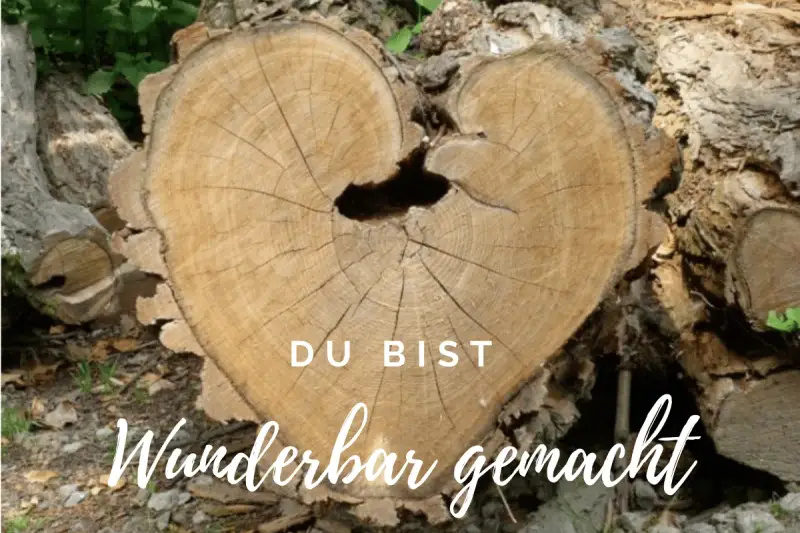 Herzförmiger Baumstamm mit Jahresringen, der an Psalm 139,14 erinnert: "Ich danke dir dafür, dass ich auf wunderbare Weise gemacht bin.