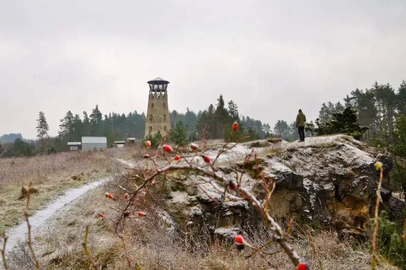 Wieża widokowa i samotny turysta na tle zimowego krajobrazu. Jósefów Roztocze atrakcje zimową porą.