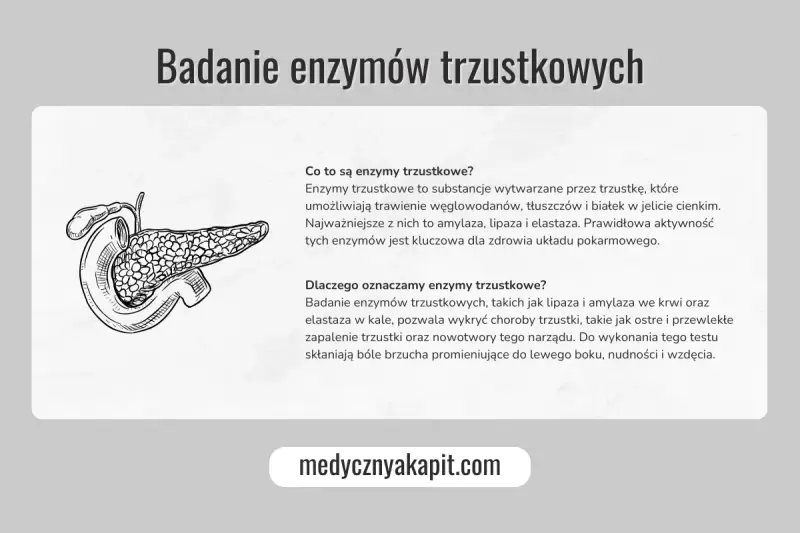 Ilustracja przedstawia trzustkę. Tekst omawia, jakie badania na trzustkę są wykonywane, w tym badanie enzymów trzustkowych.