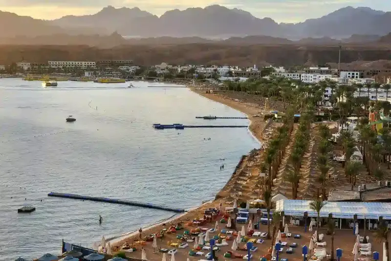 Piękna plaża z palmami i górami w tle. Czy to Hurghada czy Sharm El Sheikh?