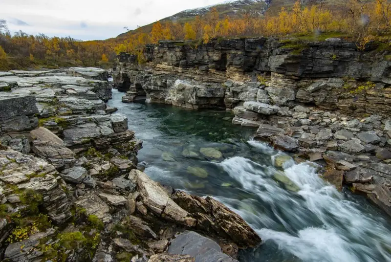 Vatten forsar genom Abisko kanjon, kantad av dramatiska klippformationer och höstens gyllene lövverk.