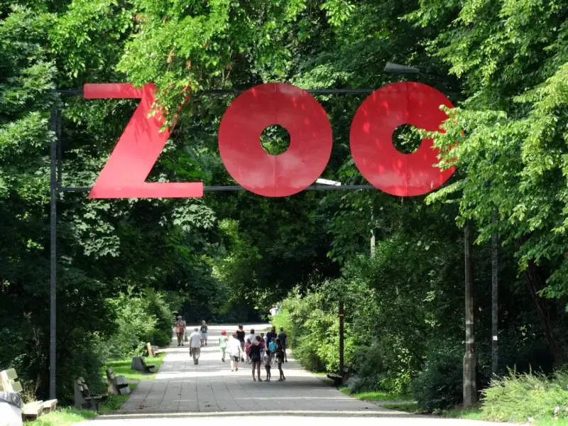 Wejście do największego zoo w Polsce. Ludzie spacerują alejką wśród zieleni.