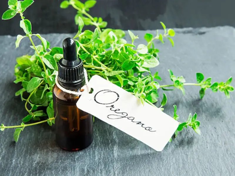Frasco con cuentagotas de aceite de orégano junto a un manojo de hierbas frescas. La etiqueta dice "Oregano".