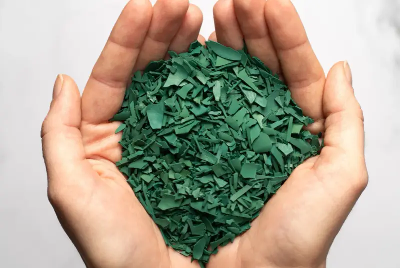 Mains tenant une poignée de paillettes vertes, résultat d'une spiruline culture.