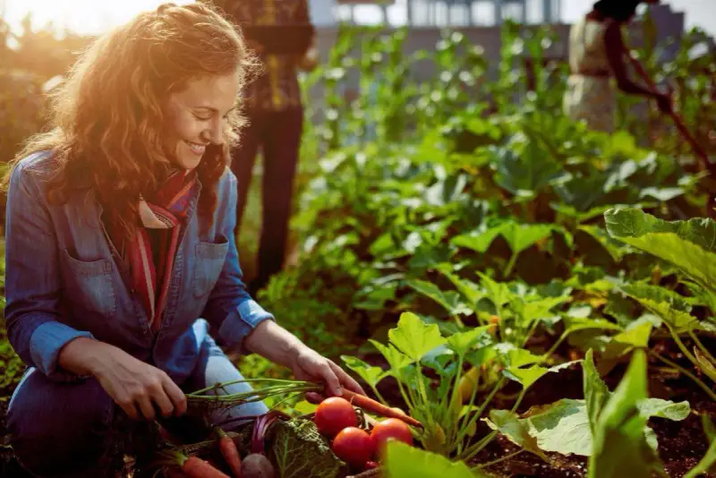 Une femme souriante récolte des carottes et des tomates dans un potager sans entretien. L'abondance des légumes suggère une récolte facile et généreuse.