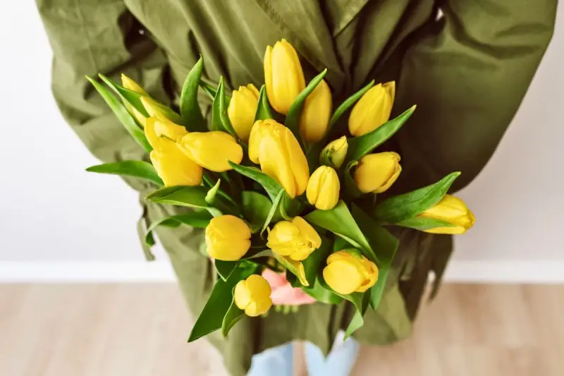 Bukiet żółtych tulipanów, symbolizujących radość i nadzieję. Co oznacza żółty tulipan? To uśmiech natury!