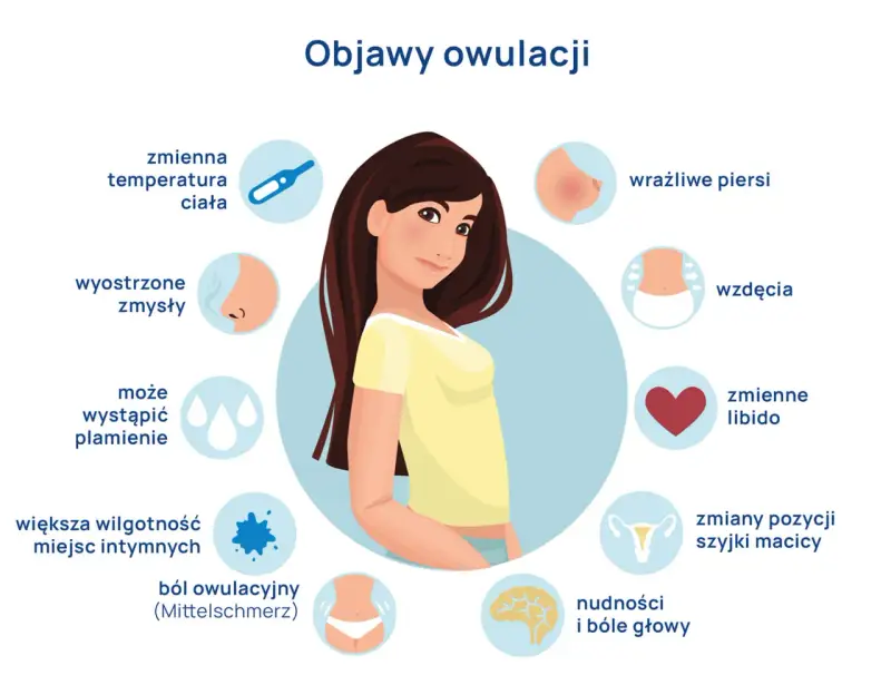 Objawy owulacji: zmienna temperatura, wyostrzone zmysły, plamienie, wilgotność, ból, wzdęcia, libido, nudności, bóle głowy, wrażliwe piersi, zmiany szyjki macicy.