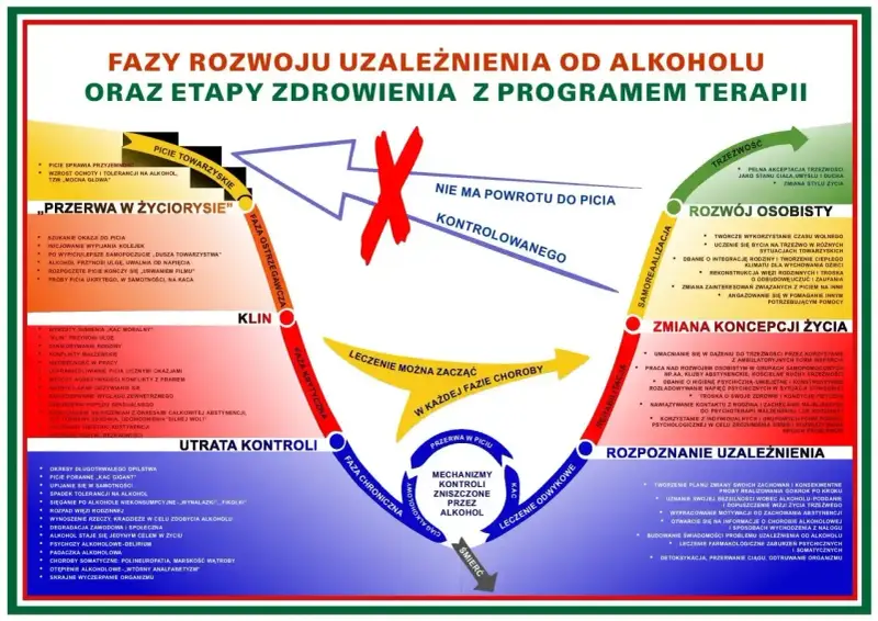 Schemat faz uzależnienia od alkoholu i etapów zdrowienia. Osoba, która nadużywa alkoholu, przechodzi przez kolejne etapy choroby.