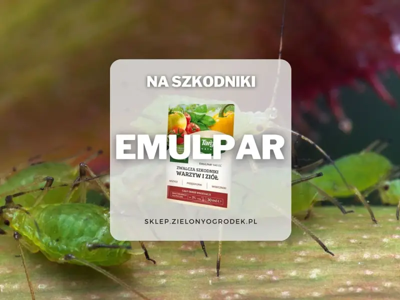 Emulpar 940 EC zwalcza mszyce i przędziorki. Sprawdź emulpar 940 ec dawkowanie na warzywa i zioła.